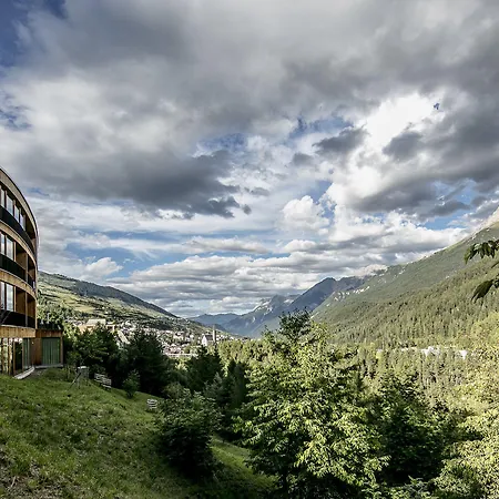 Arnica - Adults Only