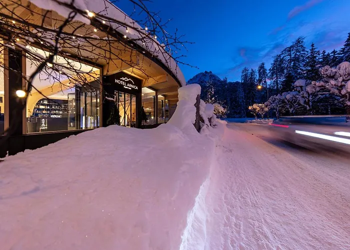 Arnica - Adults Only 3*