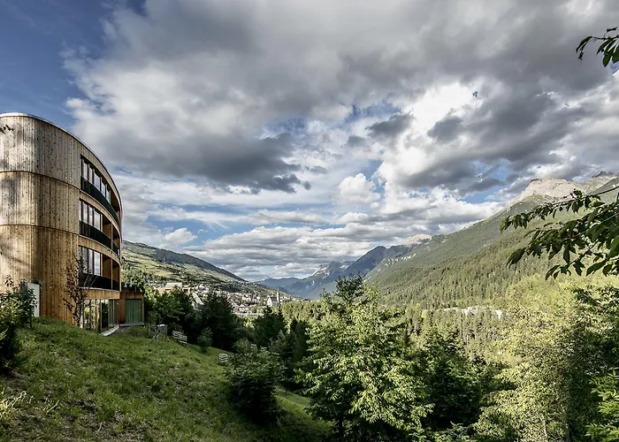 Arnica - Adults Only