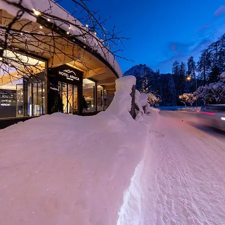 Arnica - Adults Only 3*